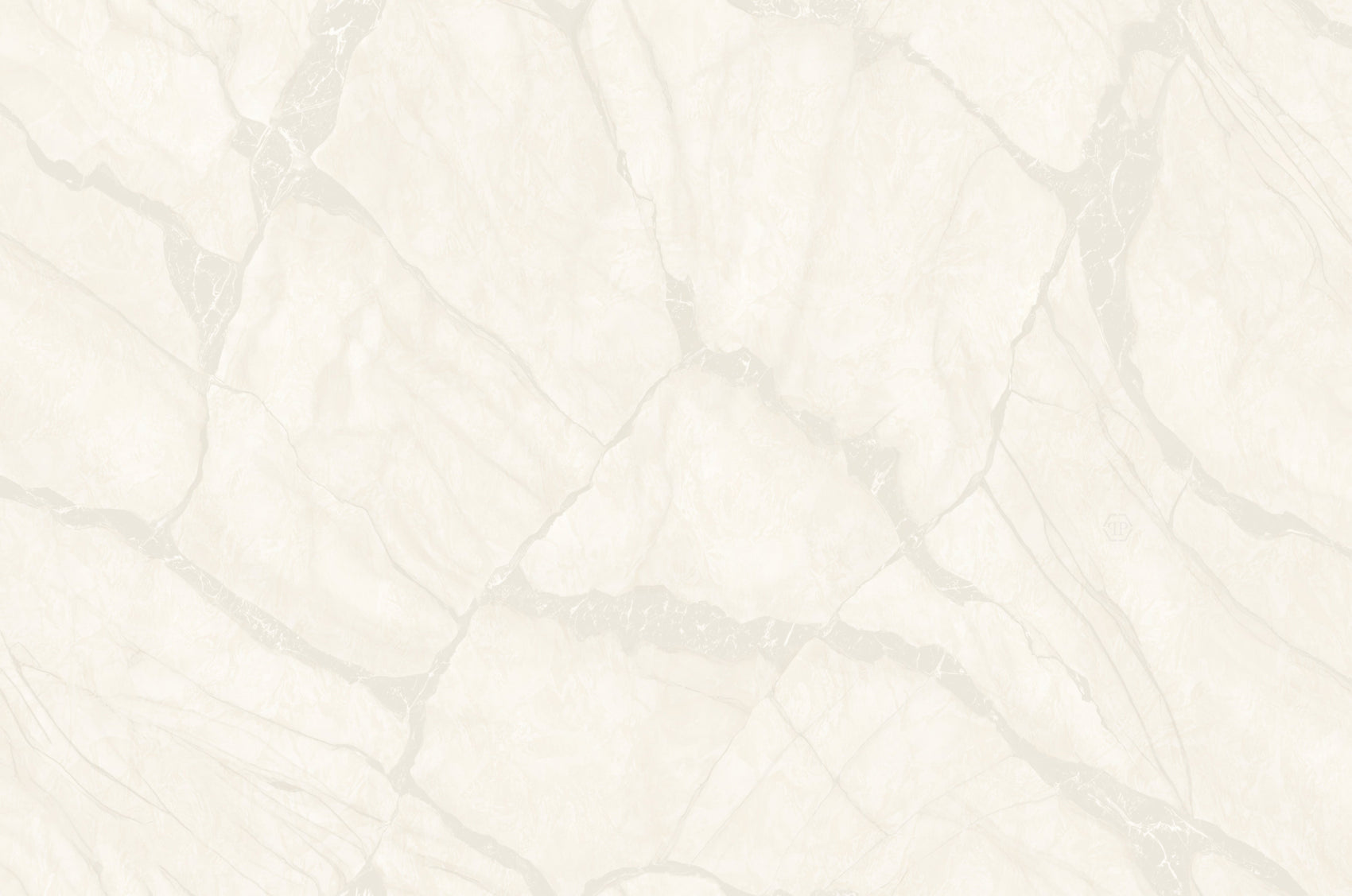 Wit Marmer - ZM42-0081 - Image1 - Philipp Plein 2 - Z81042